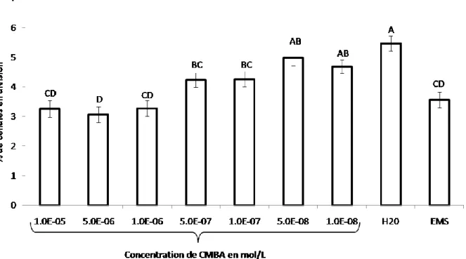 Figure  10.  Détermination  de  l’index  mitotique  en  fonction  des  concentrations  en  CMBA  (mol/L) 