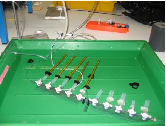 Fig 3:  Configuration for the 3-way valves at the starting point (zero flux)