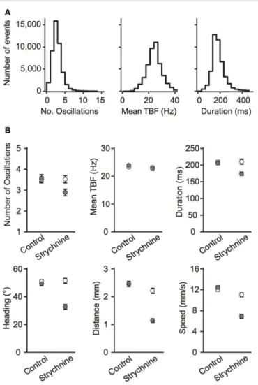 FIGURE 2 | Global parameters describing locomotion in wild-type, mutant, or drug-treated larvae