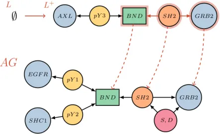 Figure 6: Partial typing of the right-hand side of the action graph by the schema.