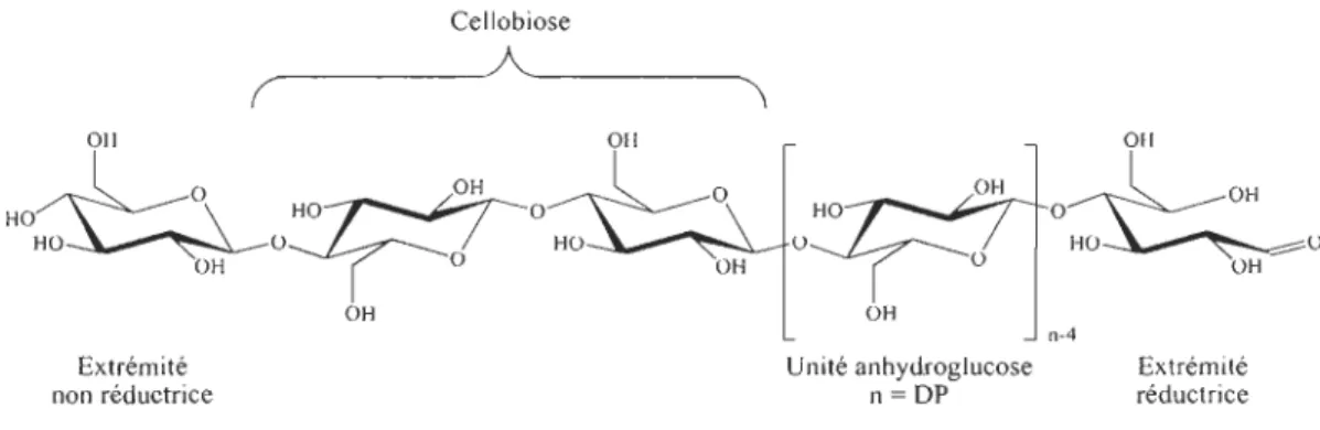 Tableau l.2.l.a : Degré de polymérisation de cellulose provenant de différentes espèces végétales
