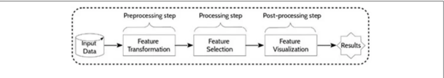 FIGURE 2 | General framework. Main phases of metabolomic data treatment.