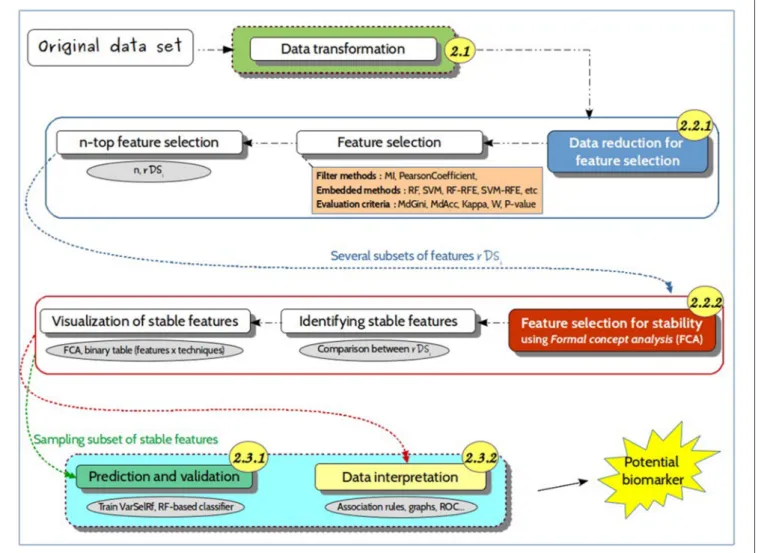 FIGURE 3 | Detailed approach. Representation of the different steps of the proposed approach, from the untargeted metabolomics original dataset to the identification of predictive biomarkers