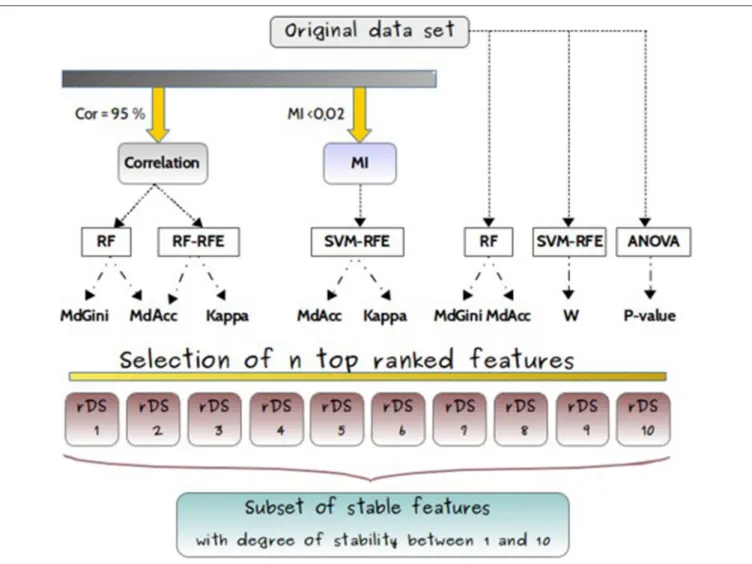 FIGURE 4 | Experimental design. Experimental design for comparisons of feature selection methods (RF, RF-RFE, SVM-RFE, ANOVA), applied either on original dataset or after filters, based either on correlation coefficient (Cor) or on mutual information (MI),