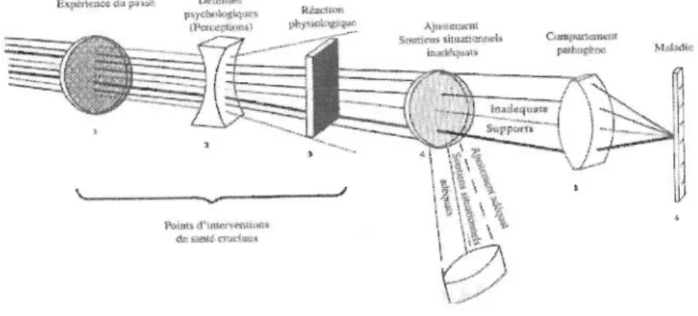 Figure  1-) Trajet entre les sources de  stress et la maladie (Rahe,  1974, cité par Watson,  1998, p.288) 
