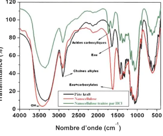 Figure 4.3  :  Spectre IR de la  pâte kraft;  de la  nanocellulose oxydée; 