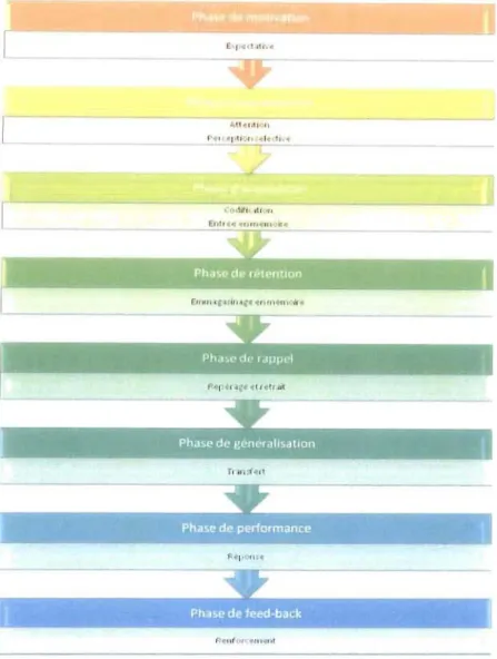 Figure 2.  Les phases d'un acte d'apprentissage et les  processus associés (Gagné,  1976)