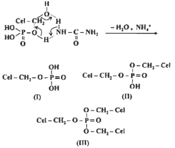 Figure 2.4  Mécanisme  proposé  pour la  réaction  de  synthèse des  esters  de  phos- phos-phates de cellulose [15, 21] 