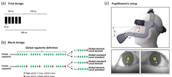 Figure 1.  Auditory paradigm and pupillometry setup (a) On each trial 5 sounds were presented