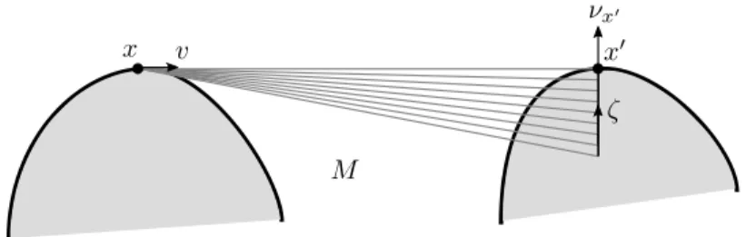Figure 2. The region covered by the map ψ, foliated by geodesics t 7→ ψ(t, θ).