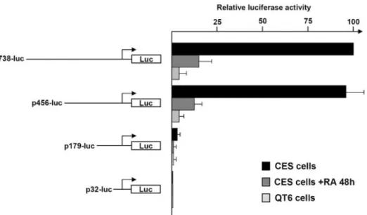 Figure 2. Functional analysis of deletion mutants of the cENS-1 promoter. Deletions were generated as described in Materials and Methods; a schematic representation of each reporter construct is shown on the left