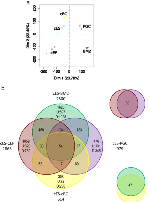 Figure 1 The cells analysed are molecularly different. a: PCA analysis, calculated on all probe sets, demonstrates that chicken embryonic fibroblasts (CEF), monocytic BM2 progenitor cells, chicken embryonic stem (cES) cells, primordial germ cells (PGC) and