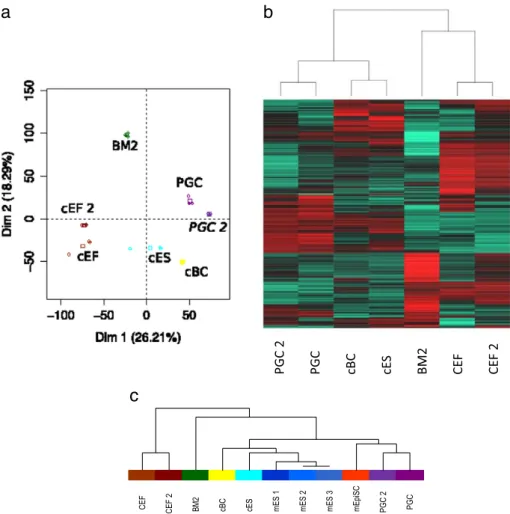 Figure 5 PCA and heatmap analysis reveals clustering of CEF and PGC with previous data, and cES with cBC (a, b) and with mES in an virtual Array (c)