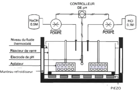 Figure 3.1  : Réacteur ultrasonique de 2 litres en  mode discontinu 