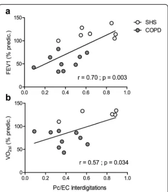 Fig. 3 Correlations between morphologic markers of the angiogenic process and clinical and functional parameters of COPD patients and SHS