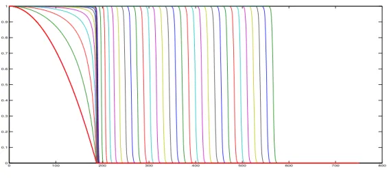 Figure 1: Numerical simulation of equation (1.1) with initial datum being chosen as g 0 (x < 0, v) = M (v) and g 0 (x > 0, v) = M (v) 1 − αx 2 