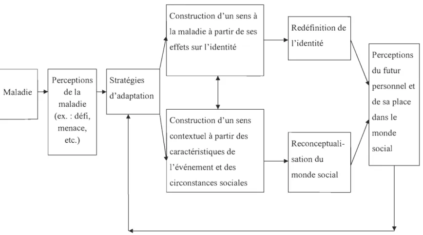 Figure 1.  Le processus de la construction de sens en réponse à une maladie (Fife,  1994)