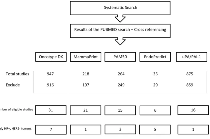 Figure 1 Flowchart of eligible studies.