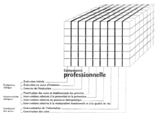 Figure  2. La composante professionnelle et les neuf dimensions (OIIQ, 2009b). 