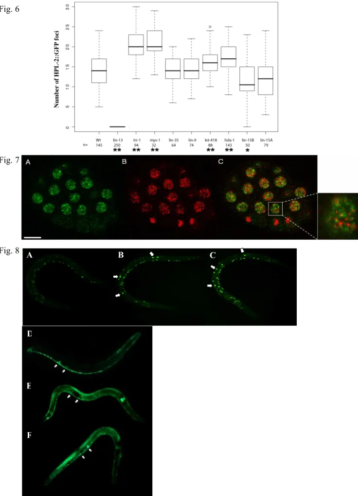 Fig. 6  Fig. 7  Fig. 8  A  B  C  E F D