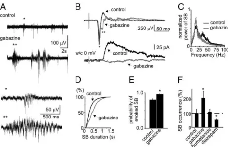 FIG . 6. Effect of the GABA A -receptor–acting drugs on spindle-bursts. A: field potential recordings from superfused barrel cortex in control conditions and in the presence of the GABA A receptor antagonist gabazine (20 ␮ M)