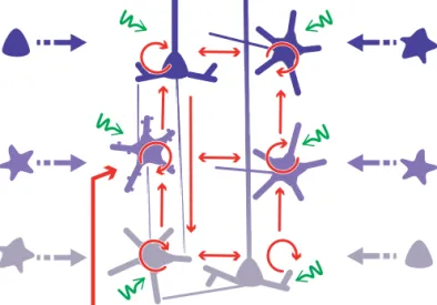 Fig. 1. Biophysical model implementation: model representation with recurrent network (red arrows, for clarity only the main connections are represented) connecting 6 populations of neurons (excitatory: pyramidal and spiny stellate cells; and inhibitory: s
