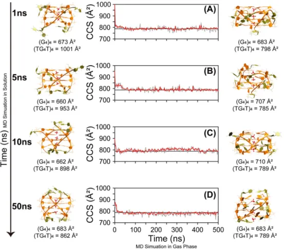 Figure 5. Monitoring of Ω CALC of [(dTGGGGT) 4 + 3 NH 4 ] 5- for four gas phase 500 ns MD replicas started from different time points of the solution molecular dynamics (MD): after (A) 1 ns, (B) 5 ns, (C) 10 ns, and (D) 50 ns of MD in solution