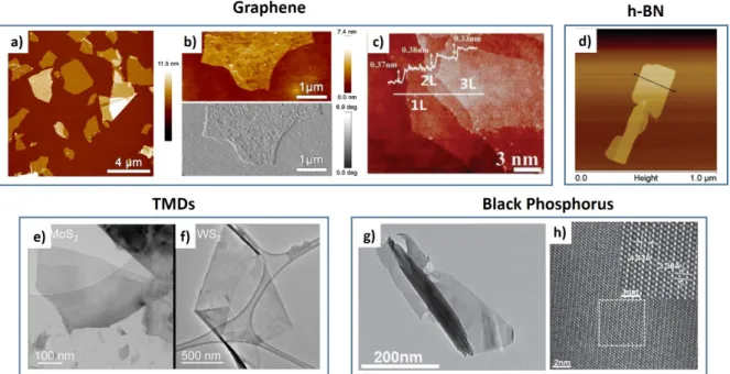 Figure 2. a) AFM image of graphene flakes produced by electrochemical exfoliation (EE) of  graphite, b) AFM topographic and phase-contrast images showing structural defects on a  representative SL graphene flake