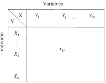 Figure 2.1  Structuration des données [1]. 