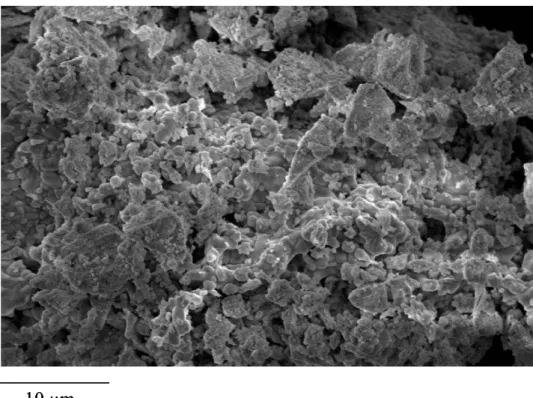 Figure 4: SEM micrographs of LuPO 4  powders treated at 1100°C for 24 hours 