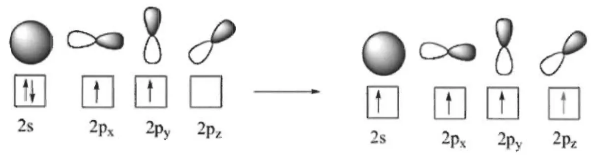 Figure 2.2:  Représentation  en  case  quantique  de  la  couche  externe  de  l'atome  de  carbone  dans  son  état  fondamental  (figure  de  gauche)  et  dans  son  l'état  excité (figure de droite)