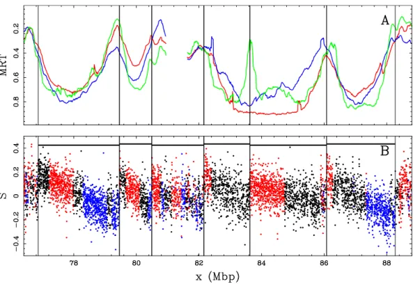 Figure II.6: Comparing compositional skew S = T T − +A A + G G+C − C and mean replication timing (MRT) in the human genome