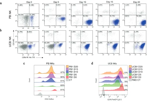 Figure 1. Progression of NK phenotypes through the expansion protocol. Flow cytometry dot plots showing CD3 APC (y-axis) and CD56 PE Vio 770 (x-axis) staining of PB  (a) and UCB (b) NKs from d 0 through d 20 of expansion protocol indicated in materials and