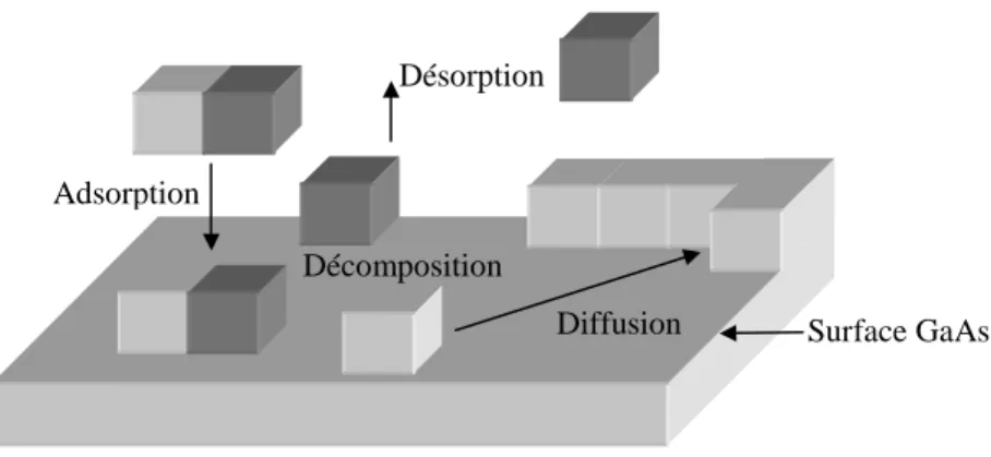 Figure III-6 : Description  microscopique des différents processus  mis en jeu lors de la croissance de GaAs par  HVPE