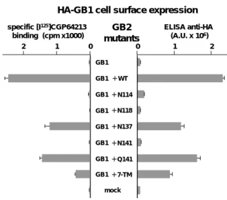 Figure 8 specific [I 125 ]CGP64213  binding  (cpm x1000) 1 02 GB1 +  WT     +  N141     +  Q141   + N114   + N118   + N137     +  7-TM mock ELISA anti-HA (A.U