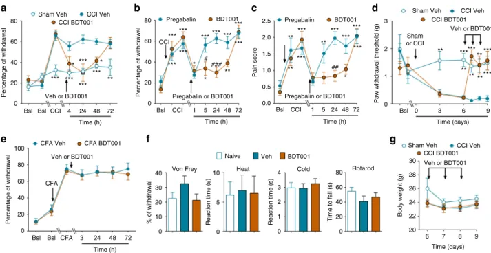 Fig. 8 BDT001 inhibited CCI-induced pain symptoms in vivo, without altering body weight in CCI-mice or sensory – motor behaviors in non-injured mice (a) BDT001 (5 mg/kg i.p.) inhibited mechanical hypersensitivity in CCI-mice