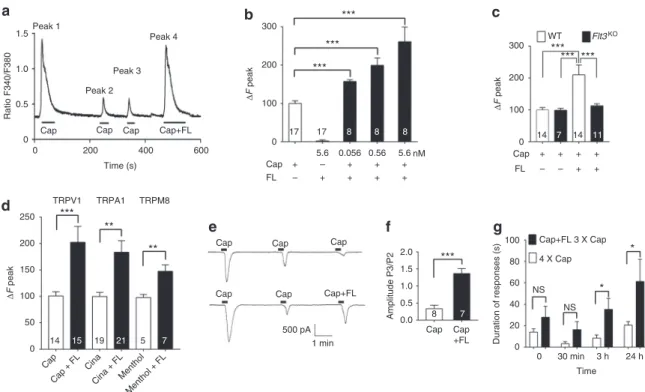 Fig. 2 FL potentiates TRP function in vitro and in vivo. a Traces of [Ca 2+ ] i responses to repeated bath applications of capsaicin (Cap, 2.5 µ M), a selective TRPV1 activator, or capsaicin combined with FL (0.56 nM) on [Ca 2+ ] i levels measured by real-