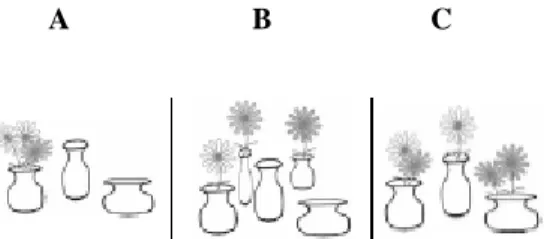 Figure 7. Stimuli for every and each from Roeper, Pearson &amp; Grace (2011)  