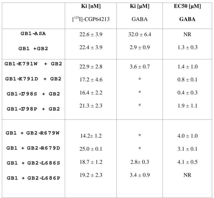 Table I: Affinity potency values of CGP 64213 and GABA on wild type and mutated GB1 and GB2 subunits