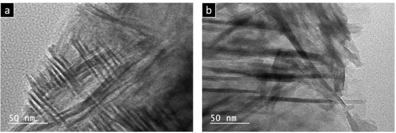 Figure 7. SEM images of (a) the parent silica monolith M, and (f) monolith N and the obtained  ZSM-5 nanosheets monoliths (b) M-5-0, (c) M-5-1, (d) M-5-2, (e) M-5-5, and (g) N-5-1 