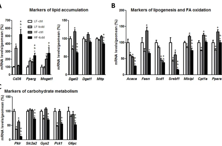 Figure 2. Effect of the co-exposure to TCDD and HFD on the hepatic mRNA levels of markers of lipid and carbohydrate metabolism