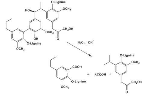 Figure 1.6:  Exemple d'oxydation de la lignine par le peroxyde d'hydrogène. 