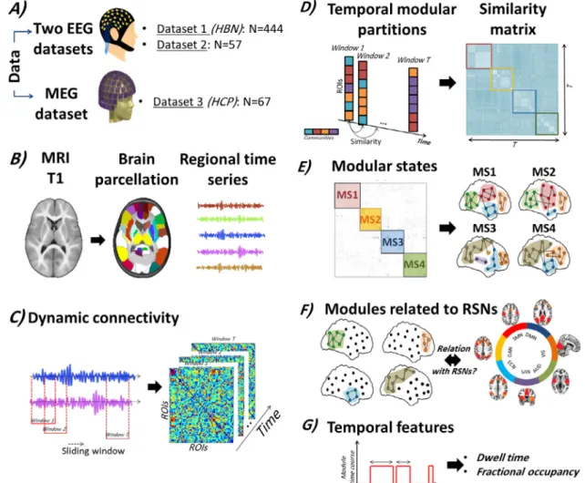 Fig. 1. Study pipeline. (A) Three datasets were analyzed: 1) Resting-state EEG data provided from the healthy brain network biobank including 444 subjects; 2) Resting-state EEG data acquired from 56 healthy subjects; and 3) Resting-state MEG data provided 