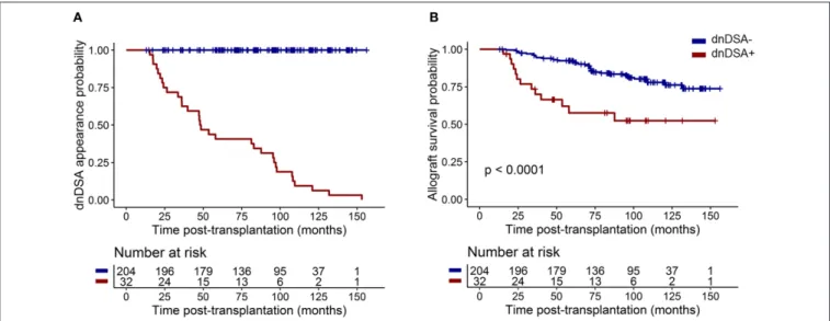 FIGURE 1 | dnDSA appearance in the 237 patients from the cohort. (A) Cumulative probability of dnDSA during patient follow-up