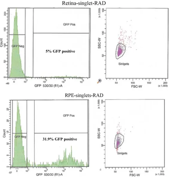 Figure 6. FACS analysis of the effect of peptides on the cellular transduction pattern  following co-subretinal injection with AAV2/5 (CMV-eGFP) in adult mice