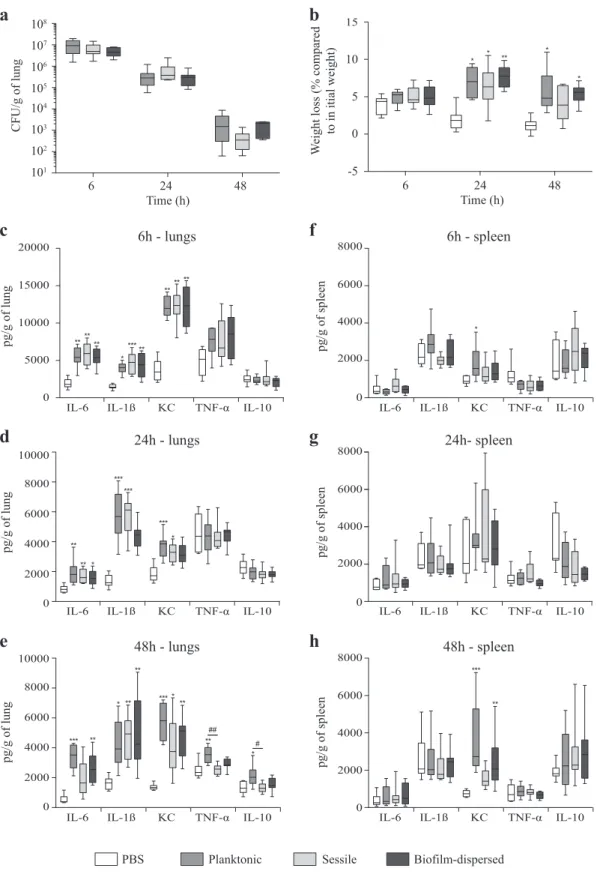 Fig. 6 K. pneumoniae sessile and bio ﬁ lm-dispersed bacteria induce an attenuated in ﬂ ammatory response in a murine model after intra-nasal instillation