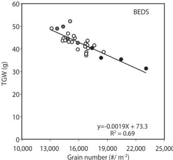 Figure 3. Relationship between the individual grain weight of a proximal grain (G2) and grain number (left panel),  and between (TGW) and individual grain weight of G2 (right panel) in bed plots