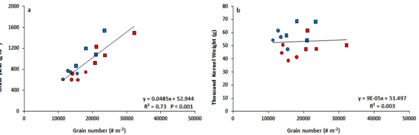 Figure 1. Relationships between grain yield and GN (a) and between average grain weight (TKW) and GN (b) of 8  genotypes evaluated in Valdivia (Chile) during the 2014-2015 growing season