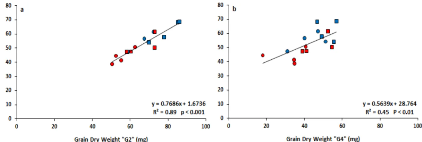 Figure 3. Relationships between TKW and IKW of G2 (a), and G4 (b) of the 8 genotypes contrasting in TKW and  GN arrangement evaluated in Valdivia (Chile) during the 2014-2015 growing season