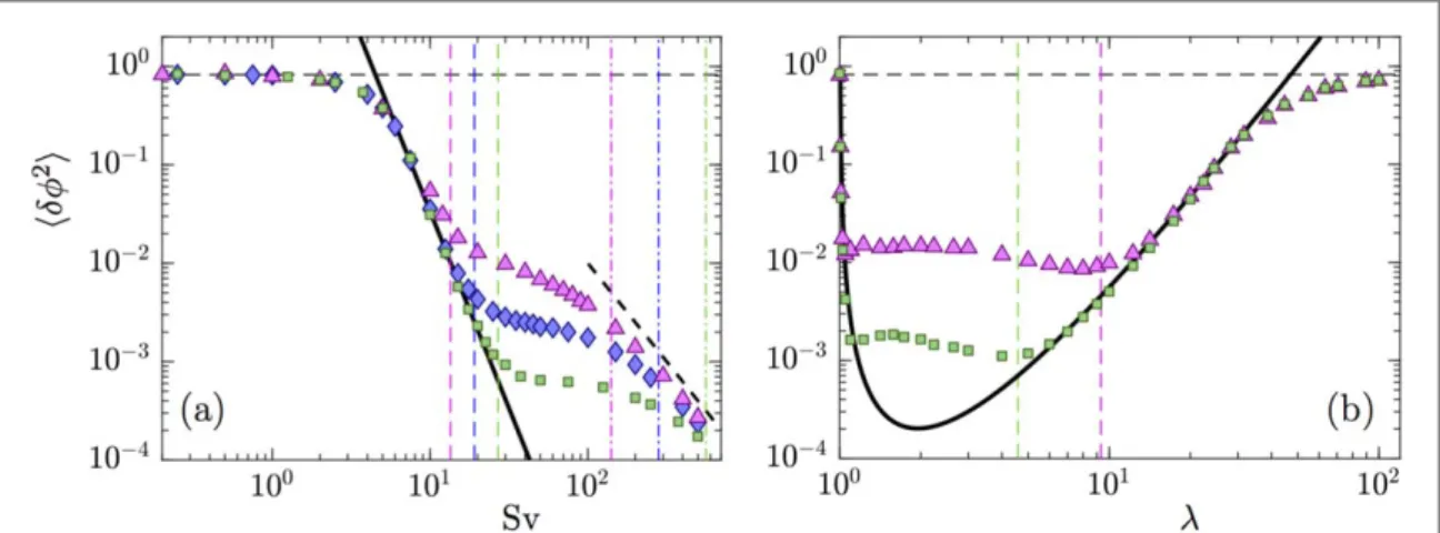 Figure 7. Variance á df 2 ñ for the two-dimensional statistical model. ( a ) Results of numerical simulations as a function of Sv for l = 5,